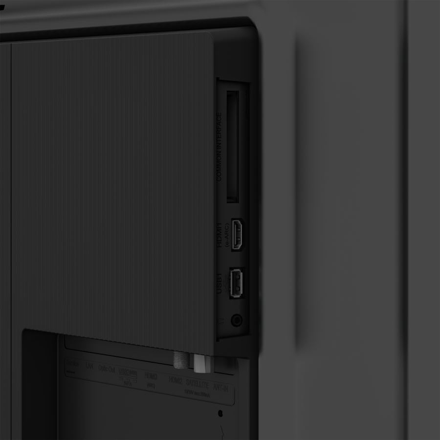 A65 E 895 A Google TV - 8